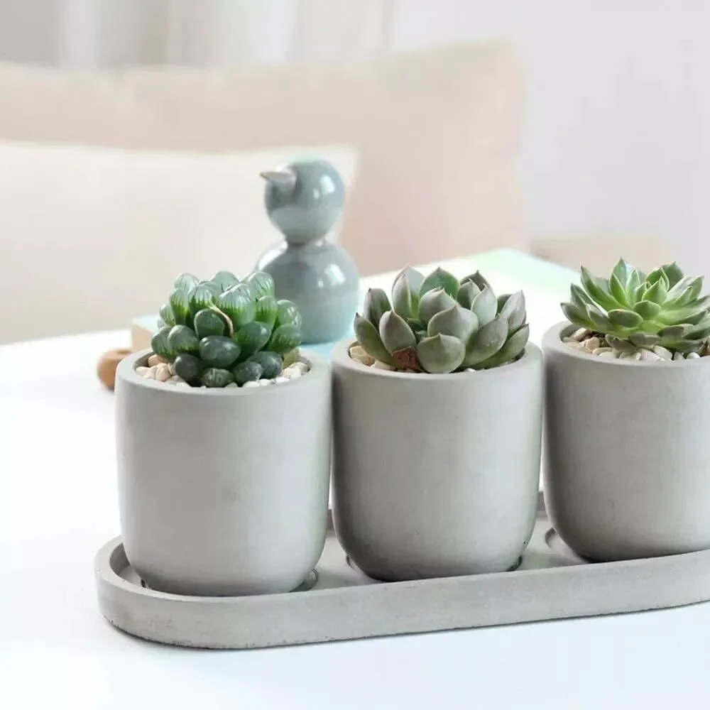 Set of 3 Succulent Planters 2.9